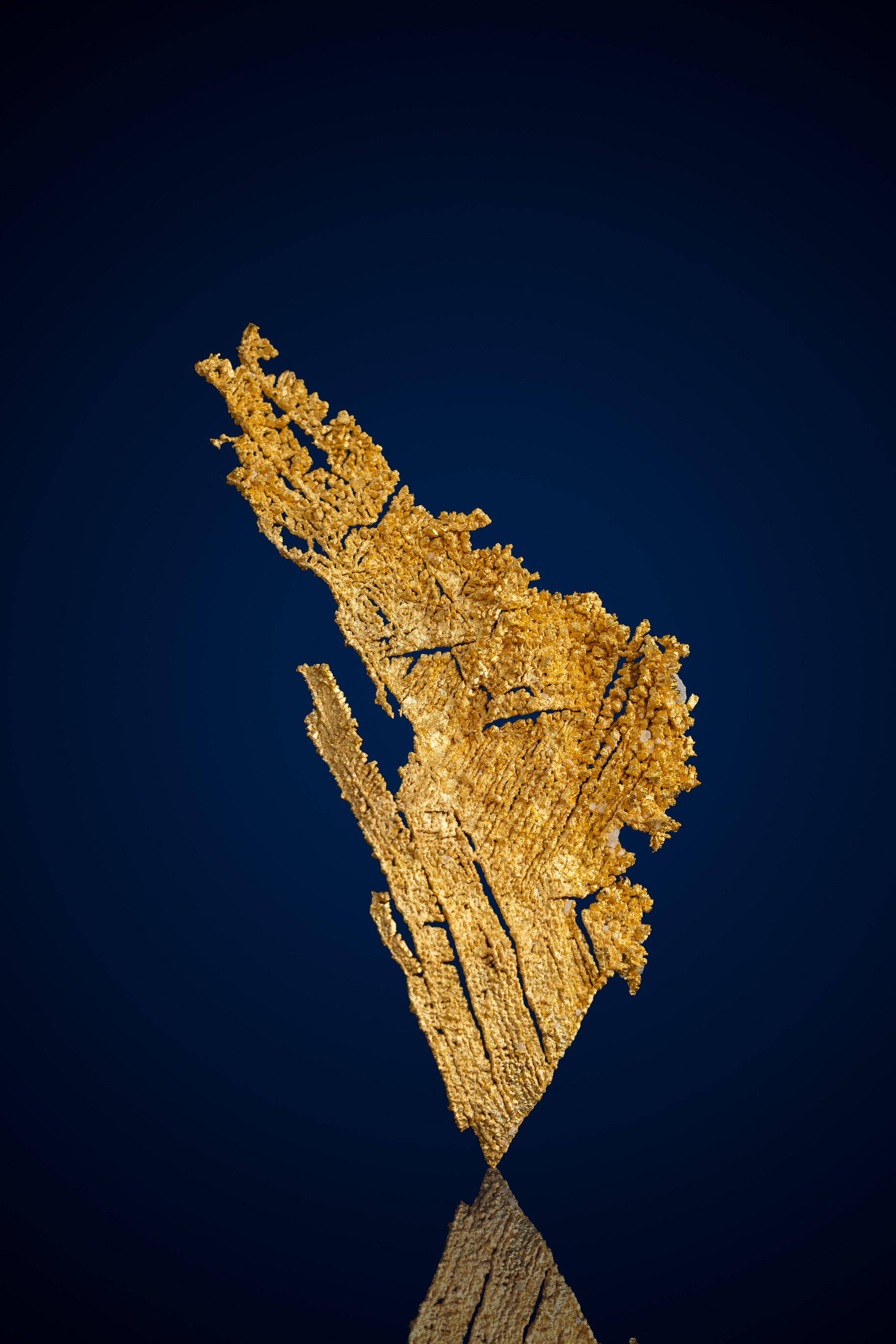 (image for) Ribbed, Branching Natural Gold Specimen - Round Mountain, NV - 2.31 grams
